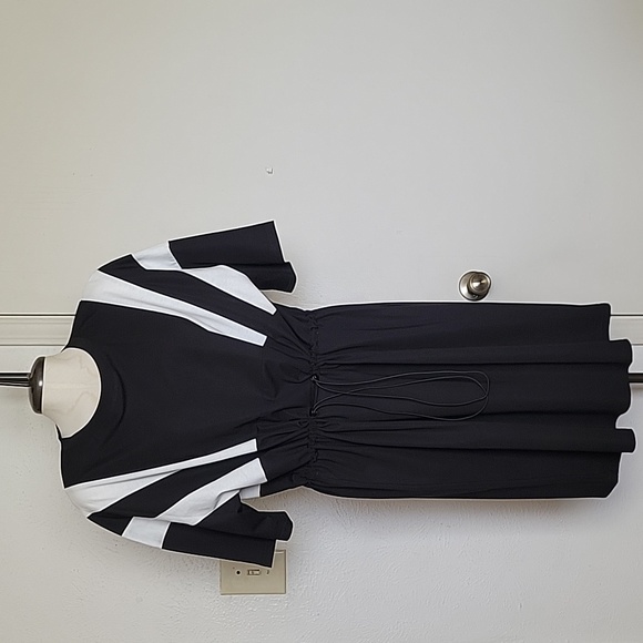 Amazon Colorblock Plus Size Dress - Picture 2 of 4